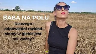 Dlaczego odpowiedni rozkład słomy w glebie jest tak ważny #ŻyznośćGleby #humifikacja #mineralizacja