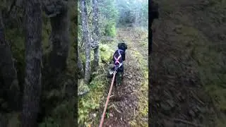 Slow motion Stella!