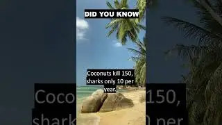 DID YOU KNOW? Falling Coconut Kills More Vs Sharks | Fun Facts