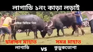 লাগাডি ১নং কাড়া লড়াই 🌹 কুড়ুকতোপা বনাম কমিটি 🌹 ৫পৌষ
