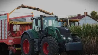 Kiszonka 2023!😎U.R. Woźniak W G.R. Walczyk! New Holland FR650!🤫 AgroTeam-Klonów!🤝🏽