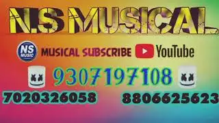 N S  MUSICAL