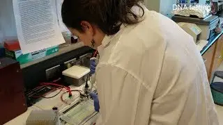 Nemer Lab - What's your Science - BMI - University of Ottawa