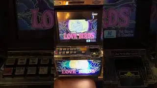 Love Birds Slot Machine - Island View Casino Resort