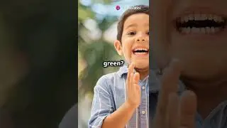 Learning Colors for Kids - Fun with Colors and Objects - Educational Video for Toddlers
