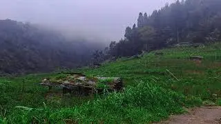 End Insomnia Tonight with Calming Rain Sounds & Sleep Music