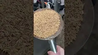 Cheng&rsquo;s country life. The first thing is to feed the chickens. #china #chicken #animals