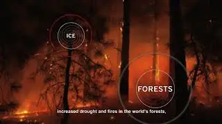 Climate Emergency: Feedback Loops Trailer #1