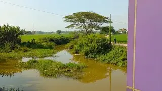 Indoculture part 4