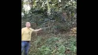 CAFE R'ONN coffee plantations, Chiangmai 2023