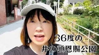 灼熱36度🥵井の頭自然文化園 水生物館で涼む