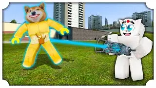 HO GIOCATO A GARRY'S MOD MA SU ROBLOX CON POGGO!