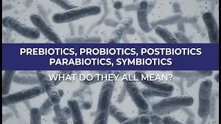Understanding Terms &ndash;  Probiotic & Prebiotic