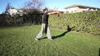 Fighting monkey dedication: my alone practice