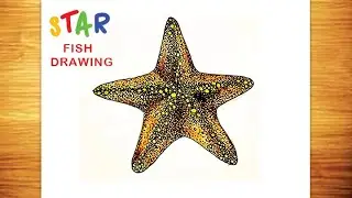 Star Fish Drawing in 6 Easy Steps