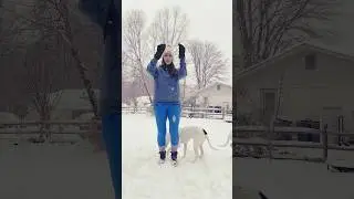 Do you like SNOW?? ❄️ #shorts  #dog #snow #dance #trending #dancechallenge