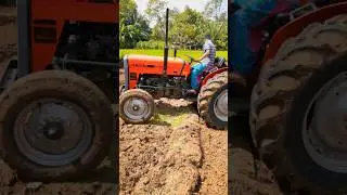 Tafe tractor video❤️🔥🤘 | Best Tractor Farmer&nbsp;#tafe&nbsp;#tractor&nbsp;#working&nbsp;#Tafe45di&nbsp;#tractor&nbsp;#srilanka
