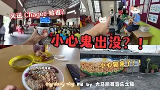 又送Chagee ？乌克丽丽彩排不间断！猫来了？！鬼影乱入？！万茂新村美食探秘！大马凯哥 #vlog 2 @MUSUkulele
