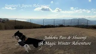 Jukkoku Pass & Shuzenji: A Magical Winter Adventure