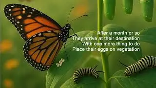 Nahuatl Poem Monarch Butterfly Migration