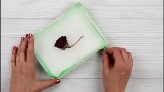 RESIN TUTORIALS | How To Embed FLOWERS Into EPOXY RESIN