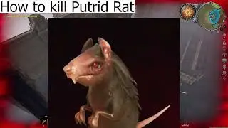 INSTANTLY Kill PUTRID RAT (V BLOOD CARRIER) Secrets of Gloomrot