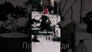 #психология #inspire #life #життя #winter #motivation #психологія #правда #truthmatters #humanity