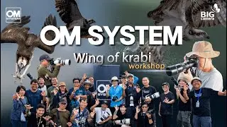 OM SYSTEM Wing of Krabi ล่าภาพนกนักล่า กับตัวจริงเรื่องการถ่าย Action birds