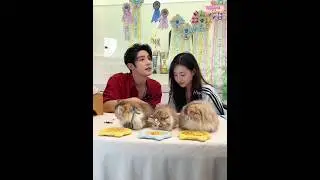 Live with cute cat😽 白昕怡朱一未🎠🔒🔒#白昕怡朱一未 #baixinyi_zhuyiwei #zhuyiweibaixinyi #chunhatvibachhandi