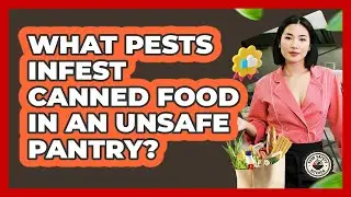 What Pests Infest Canned Food In An Unsafe Pantry? - Food Safety Kitchen