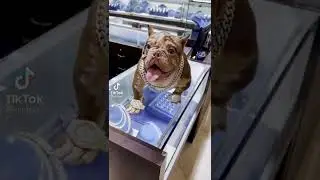 Lil Baby Buy ice box chain to his Dog 4pf💎