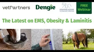 The Latest on EMS, Obesity & Laminitis with Stringer Equine Veterinary Practice