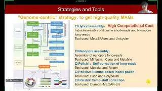 iMeta | Strategies and tools in illumina and nanopore-integrated metagenomic analysis of microbiome