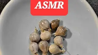 ASMR - Oddly Satisfying Job's Tears Cleaning