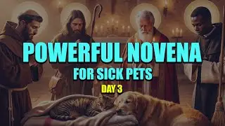 Day 3: Cure Their Illness | St. Blaise Prayer for Sick Animals