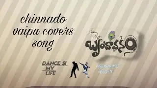 Brindavanam movie songs chinnado vaipu song jr NTR samantha kajal Agarwal mango videos