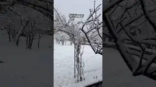 Snowfall In Srinagar | My Home