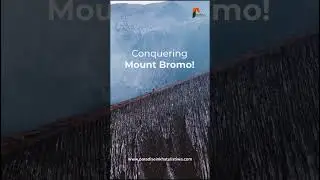 Epic Hiking Adventure: Conquering Mount Bromo!