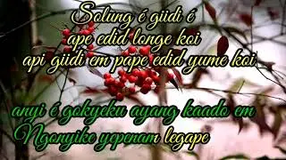 Solung é Giidi é Clean Karaoke// Lomyuk Lego// Adi Song