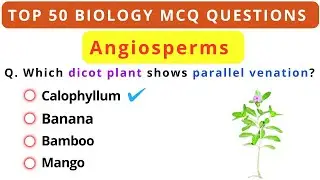 Top 50 Angiosperms MCQ Questions for All Competitive Exams | Biology MCQ | NEET UPSC PPSC