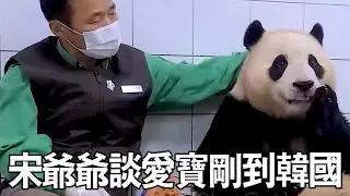 宋爺爺談及愛寶剛到韓國，經過5天隔離檢疫，以此觀察是否有不良反應【有趣的喵哇】