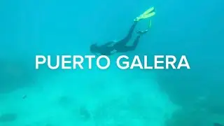 PUERTO GALERA 2024