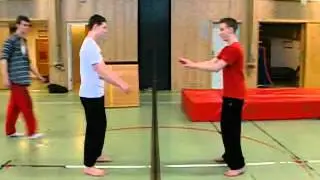 mirrorflip
