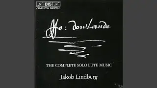From the Schele Lute Book: II. Lady Laiton&acute;s Almain (48)