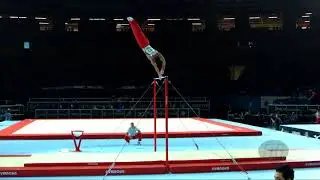 BRAEGGER Pablo (SUI) - 2017 Artistic Worlds, Montr&eacute;al (CAN) - Qualifications Horizontal Bar