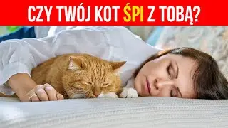 Jeśli będziesz spał ze swoim kotem każdej nocy, TO się stanie