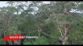 WISATA BUKIT BANGKIRAI | RAGAM INDONESIA (02/01/19)