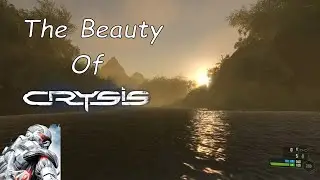 The Beauty Of Crysis