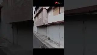 Shanghai's Old Town is a Ghost Town