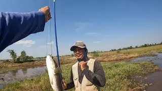 ប្រជុំជើងខ្លាំងតាមខេត្ត #fishing #adventure #cooking